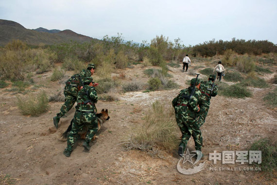 組圖：新疆邊防武警抓捕盜挖名貴藥材不法分子